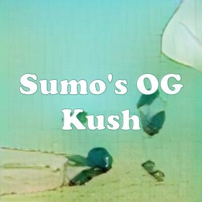 Sumo's OG Kush strain
