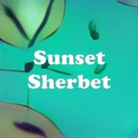 Sunset Sherbet strain