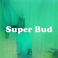 Super Bud strain