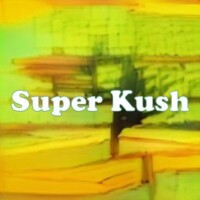 Super Kush strain