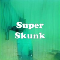 Super Skunk strain