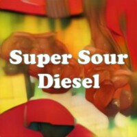 Super Sour Diesel strain