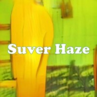 Suver Haze strain