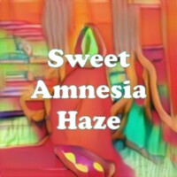 Sweet Amnesia Haze strain