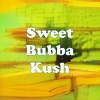 Sweet Bubba Kush strain