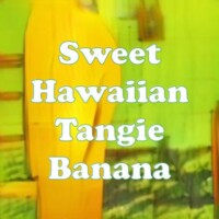 Sweet Hawaiian Tangie Banana strain