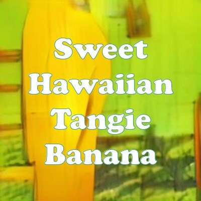 Sweet Hawaiian Tangie Banana strain