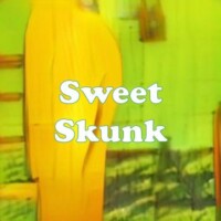 Sweet Skunk strain