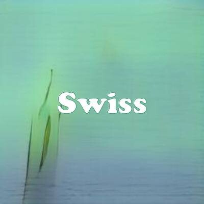 Swiss strain