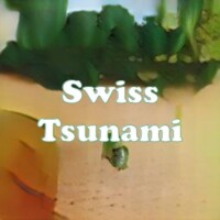 Swiss Tsunami strain