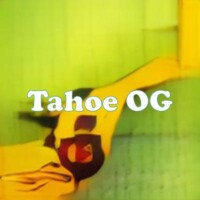 Tahoe OG strain