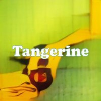 Tangerine strain