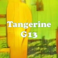 Tangerine G13 strain