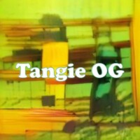 Tangie OG strain