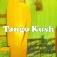 Tango Kush strain