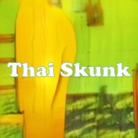 Thai Skunk strain
