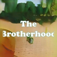 The Brotherhood strain