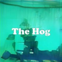 The Hog strain