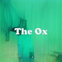The Ox strain