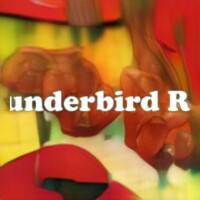 Thunderbird Rose strain