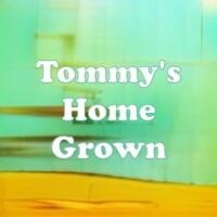Tommy's Home Grown strain
