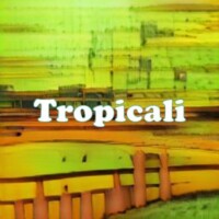 Tropicali strain