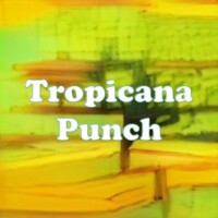 Tropicana Punch strain