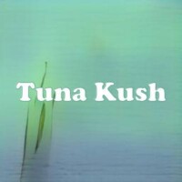 Tuna Kush strain