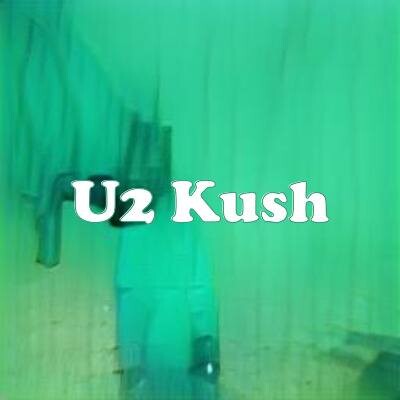 U2 Kush strain
