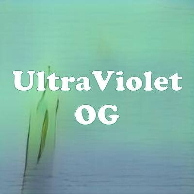 UltraViolet OG strain