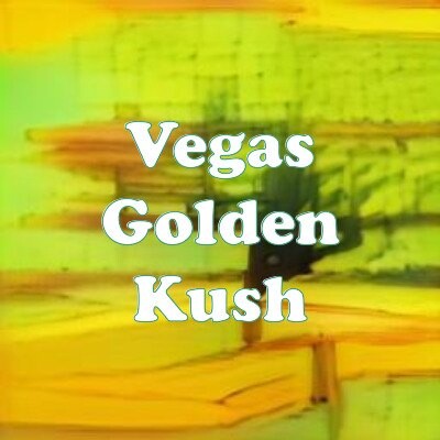 Vegas Golden Kush strain