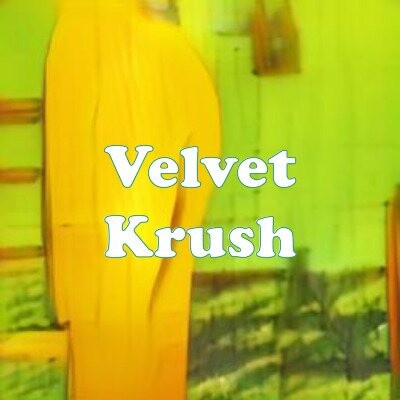 Velvet Krush strain