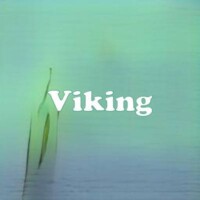 Viking strain