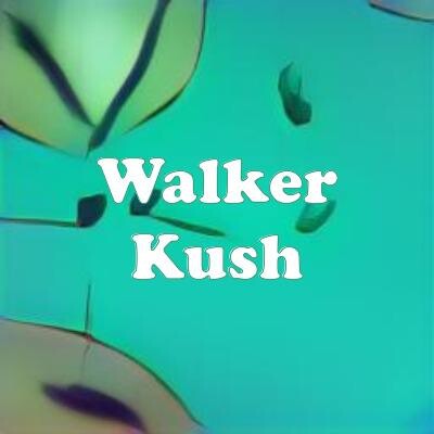Walker Kush strain