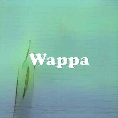 Wappa strain