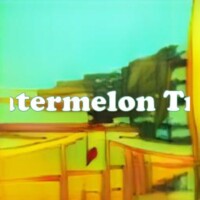 Watermelon Tree strain