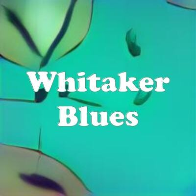 Whitaker Blues strain