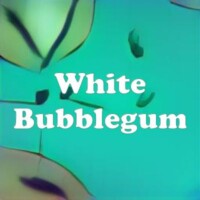 White Bubblegum strain