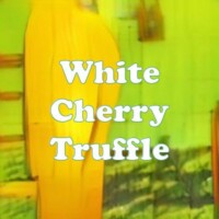 White Cherry Truffle strain