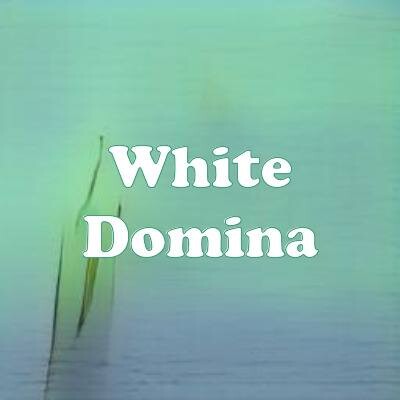 White Domina strain
