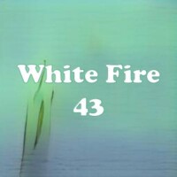 White Fire 43 strain