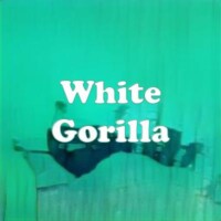 White Gorilla strain