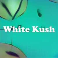 White Kush strain