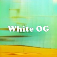 White OG strain