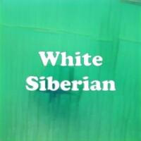 White Siberian strain