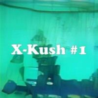 X-Kush #1 strain