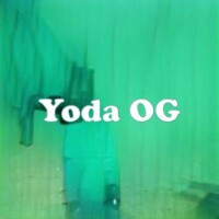 Yoda OG strain