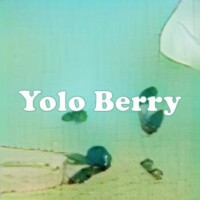 Yolo Berry strain