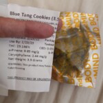 Blue Tang Cookies